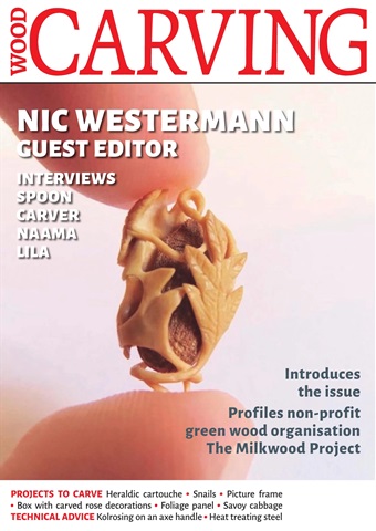 Issue 193 issue Issue 193