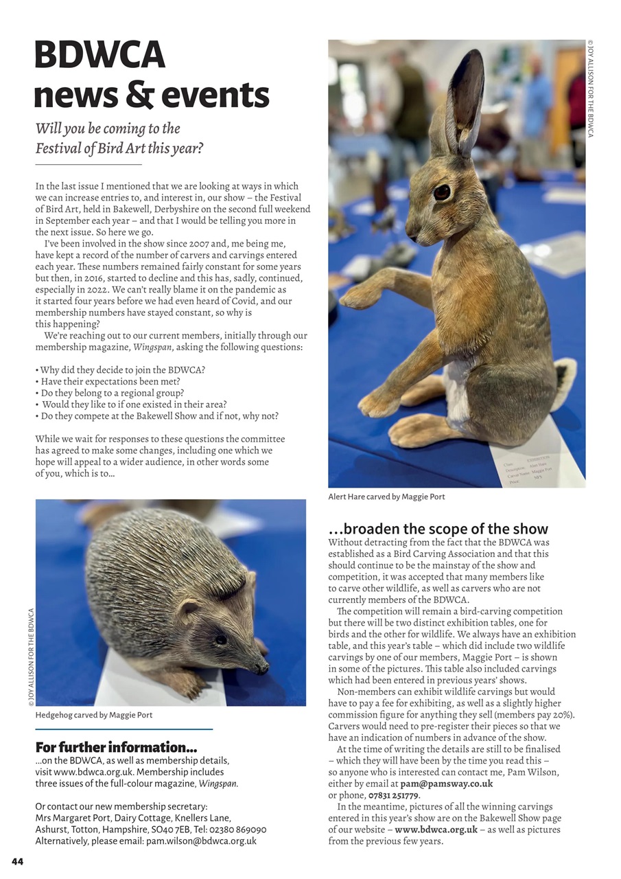 Woodcarving Preview Pages