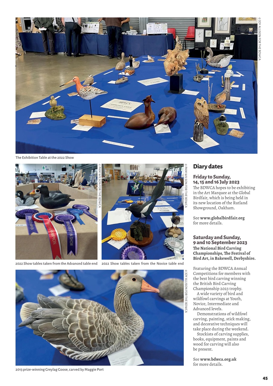 Woodcarving Preview Pages