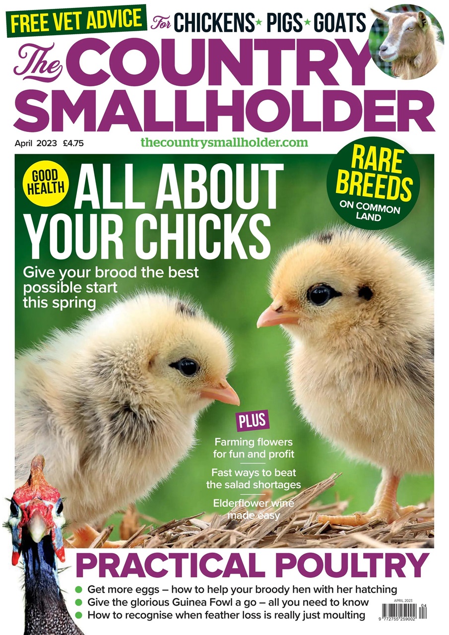 The Country Smallholder Preview Pages