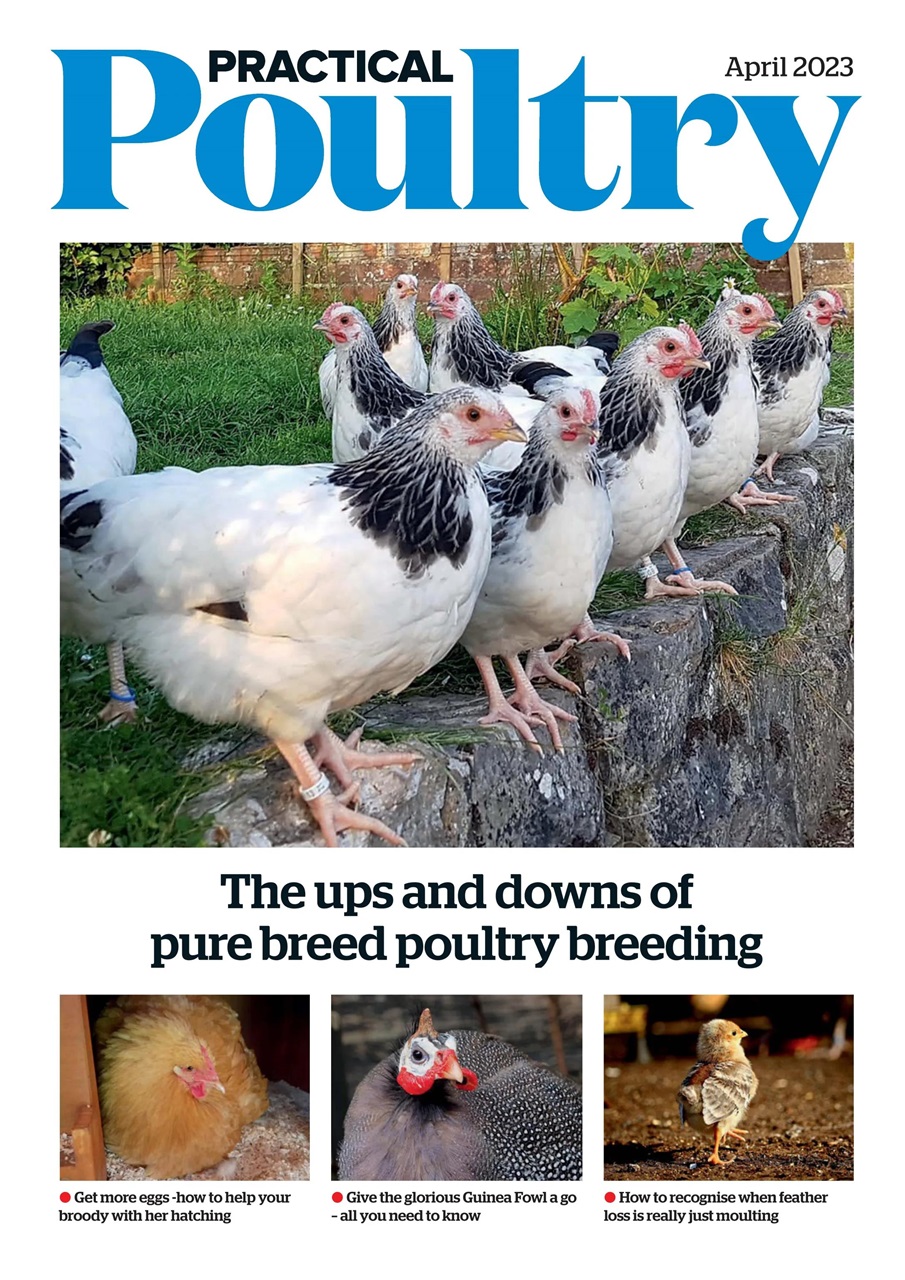 The Country Smallholder Preview Pages