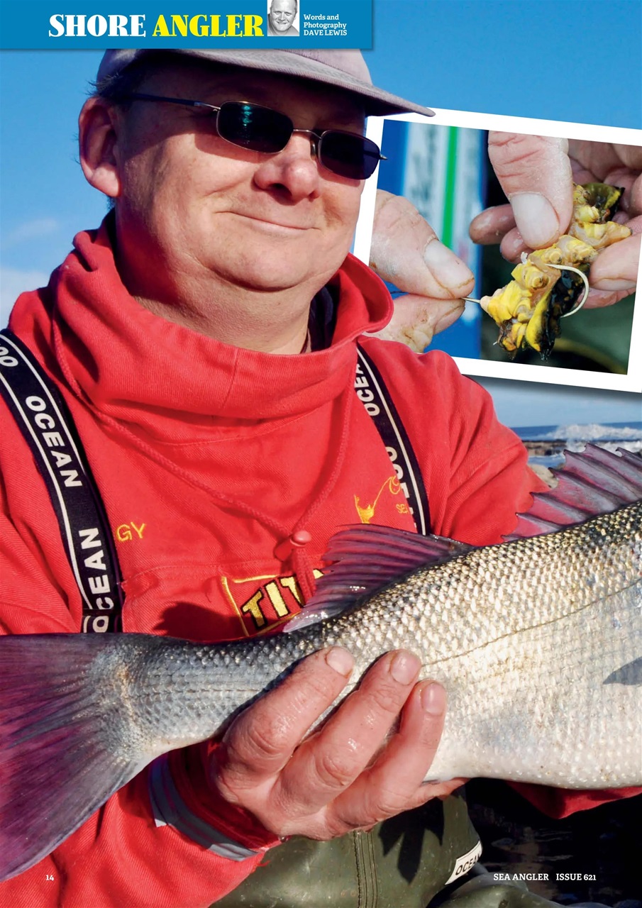 Sea Angler Preview Pages