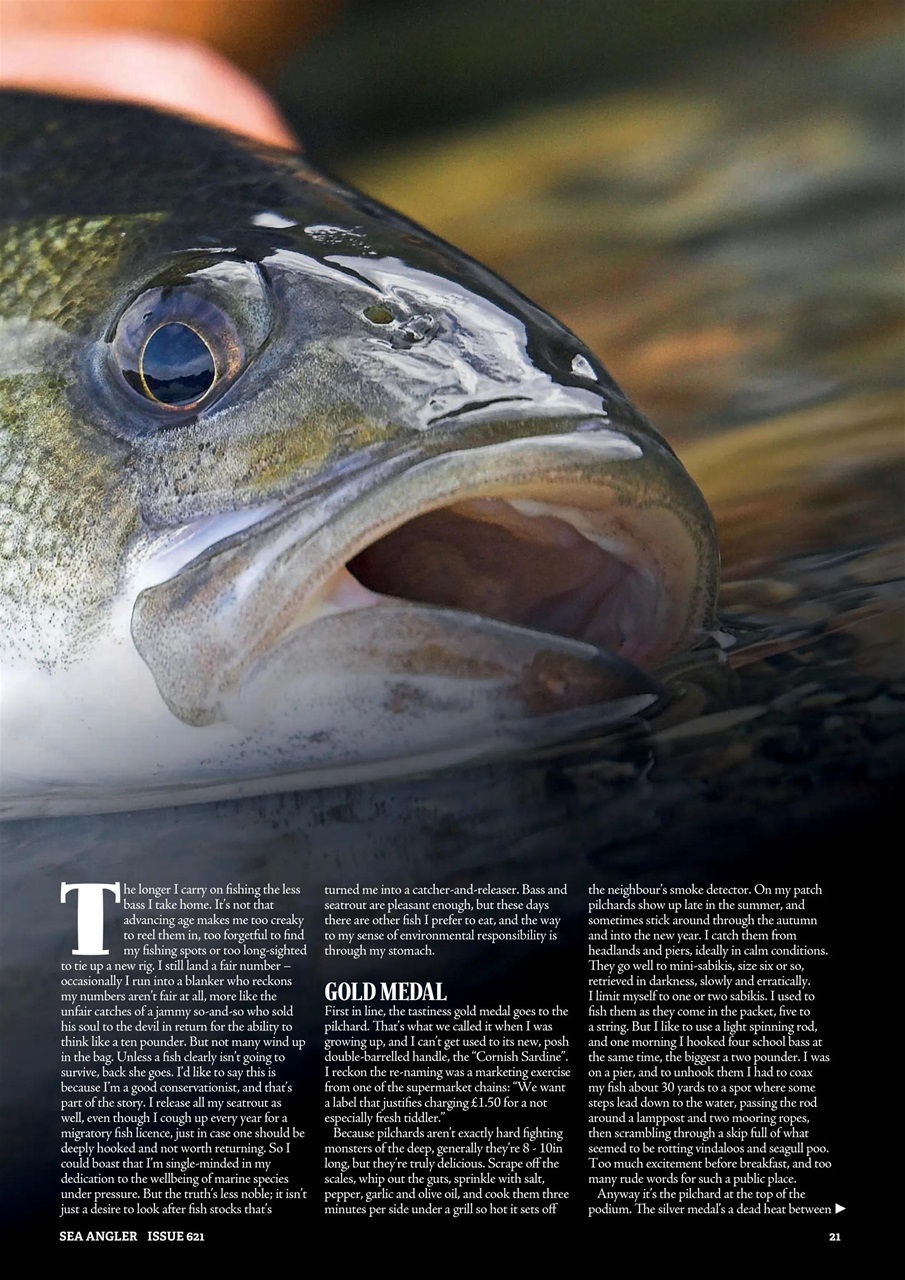 Sea Angler Preview Pages