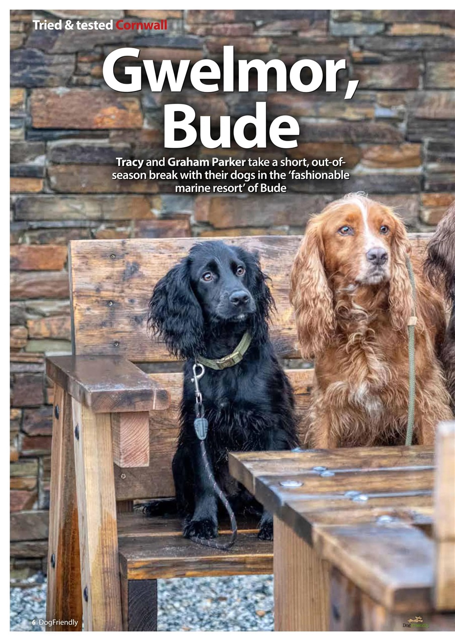 Dog Friendly Preview Pages