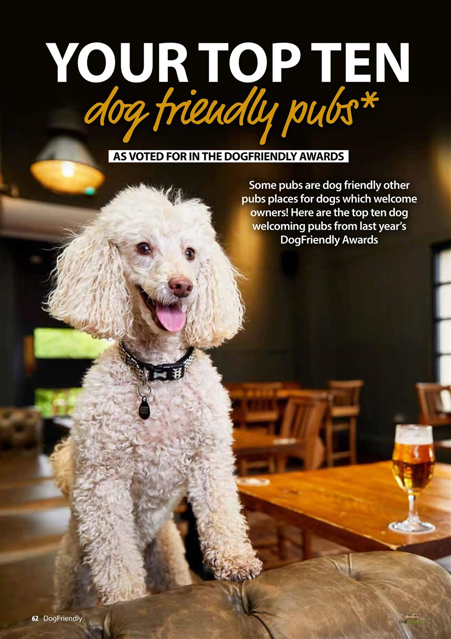 Dog Friendly Preview Pages