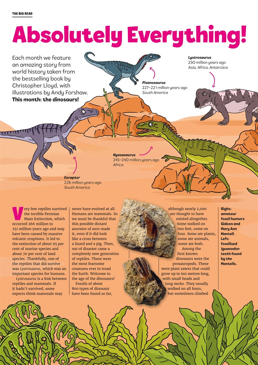 What on Earth! Magazine Preview Pages