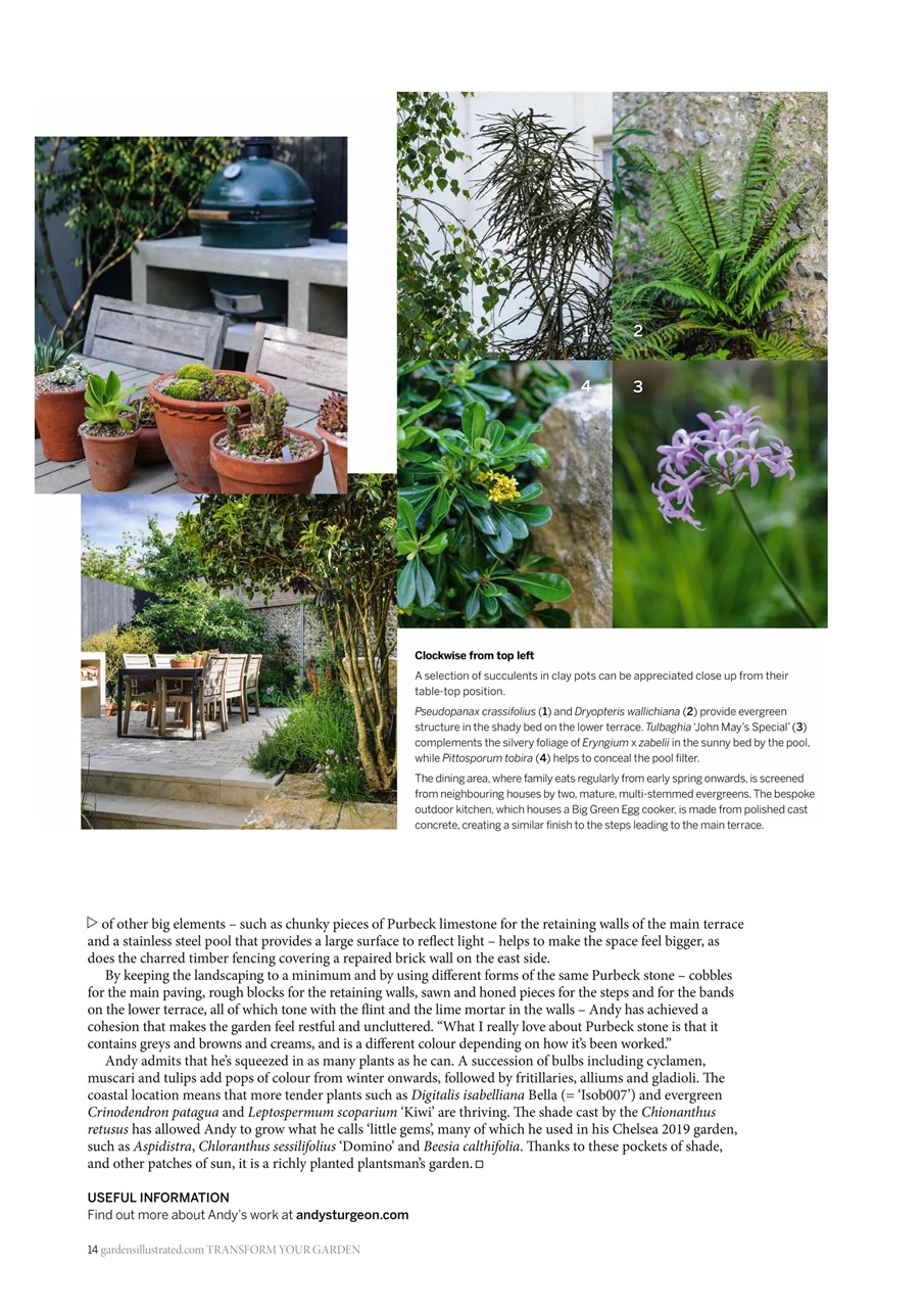 Gardens Illustrated Preview Pages