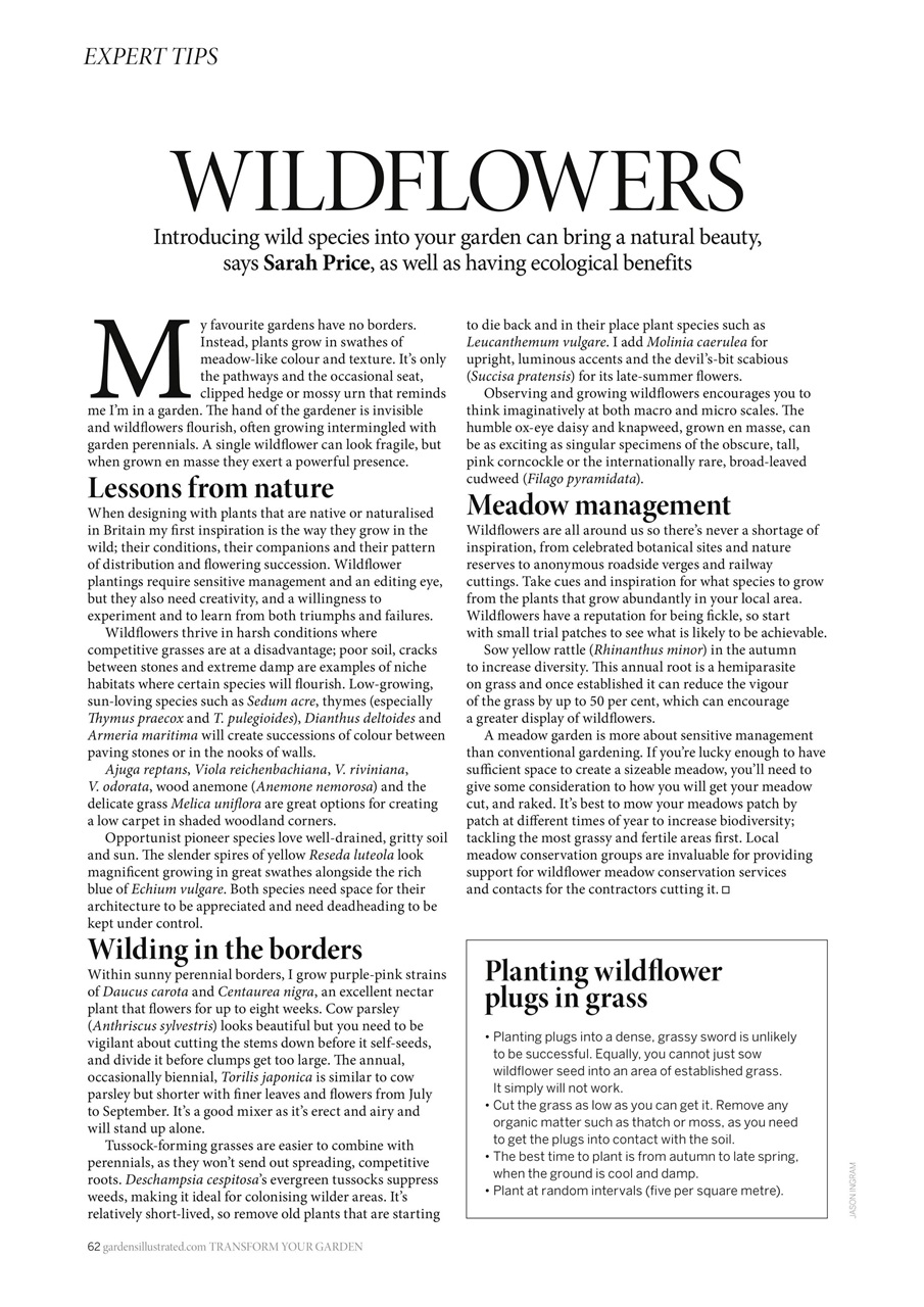 Gardens Illustrated Preview Pages