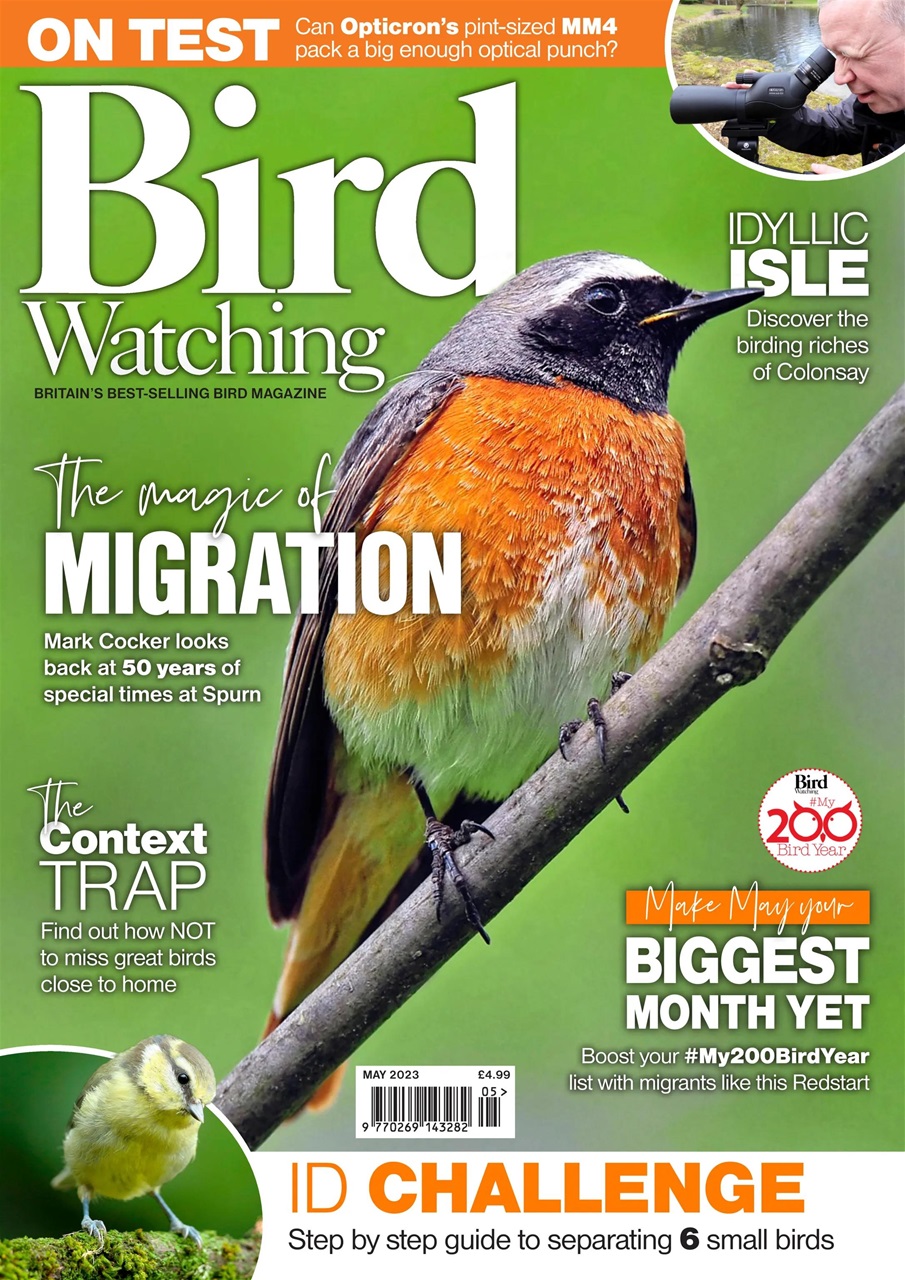 Bird Watching Preview Pages