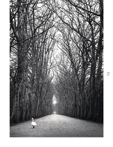 Black+White Photography Preview Pages