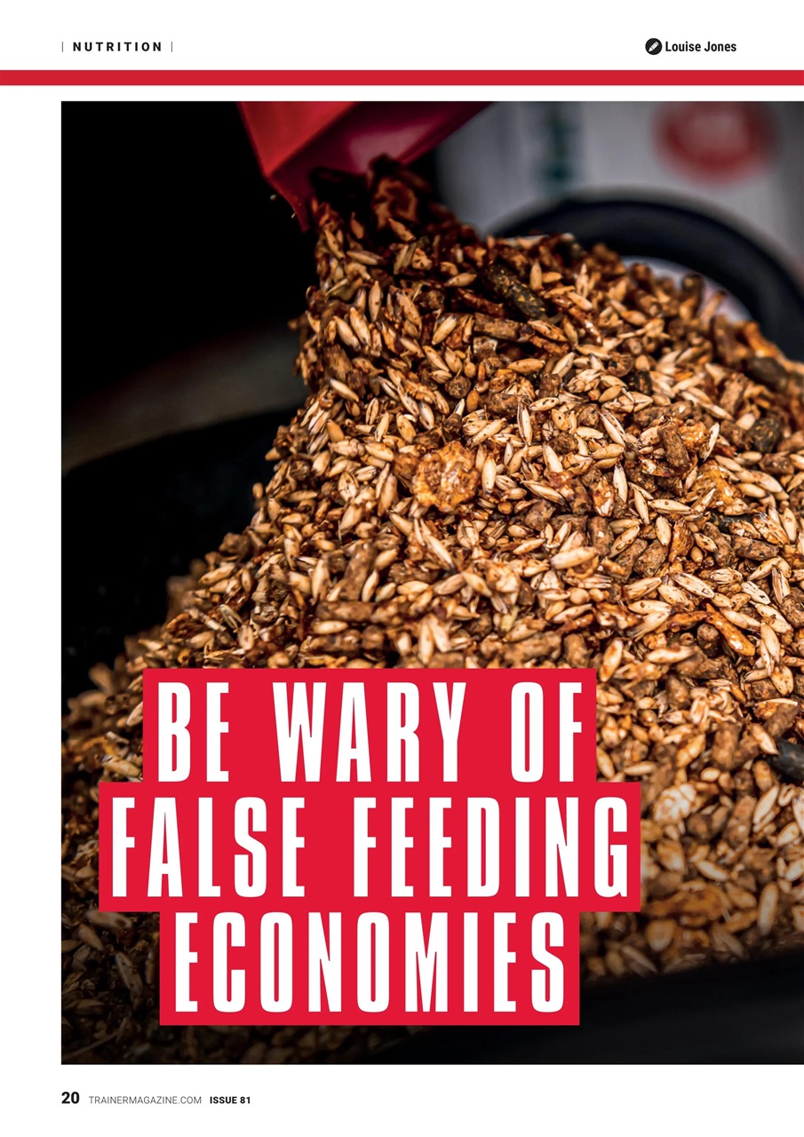 European Trainer Magazine - horse racing Preview Pages