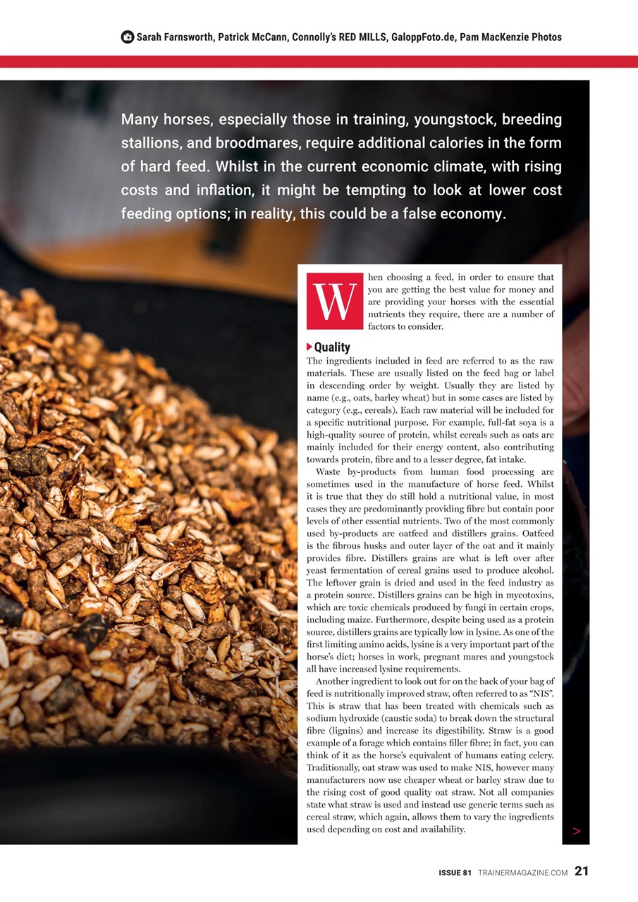 European Trainer Magazine - horse racing Preview Pages