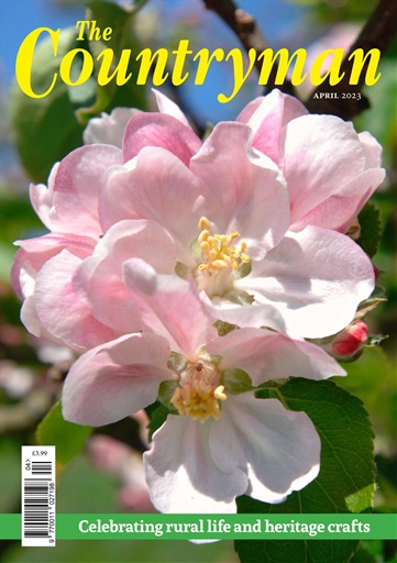 The Countryman issue 