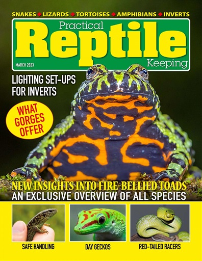 Practical Reptile Keeping issue 