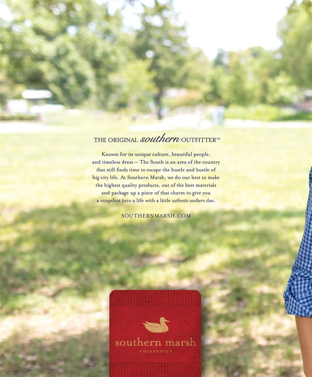 Southern Lady Preview Pages