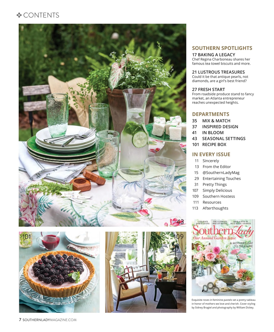 Southern Lady Preview Pages