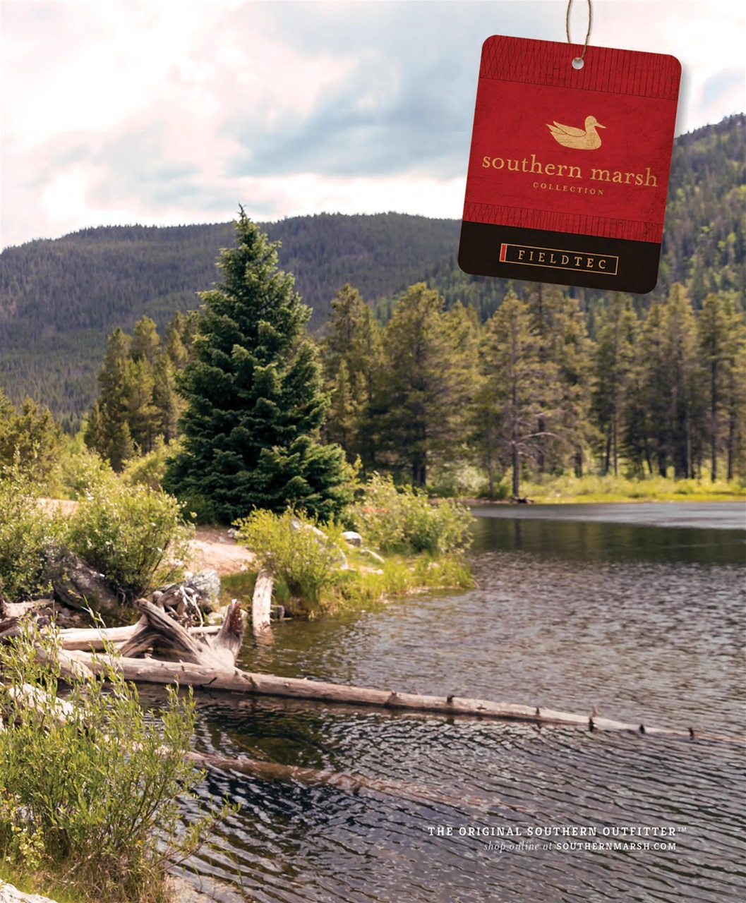 Taste of the South Preview Pages