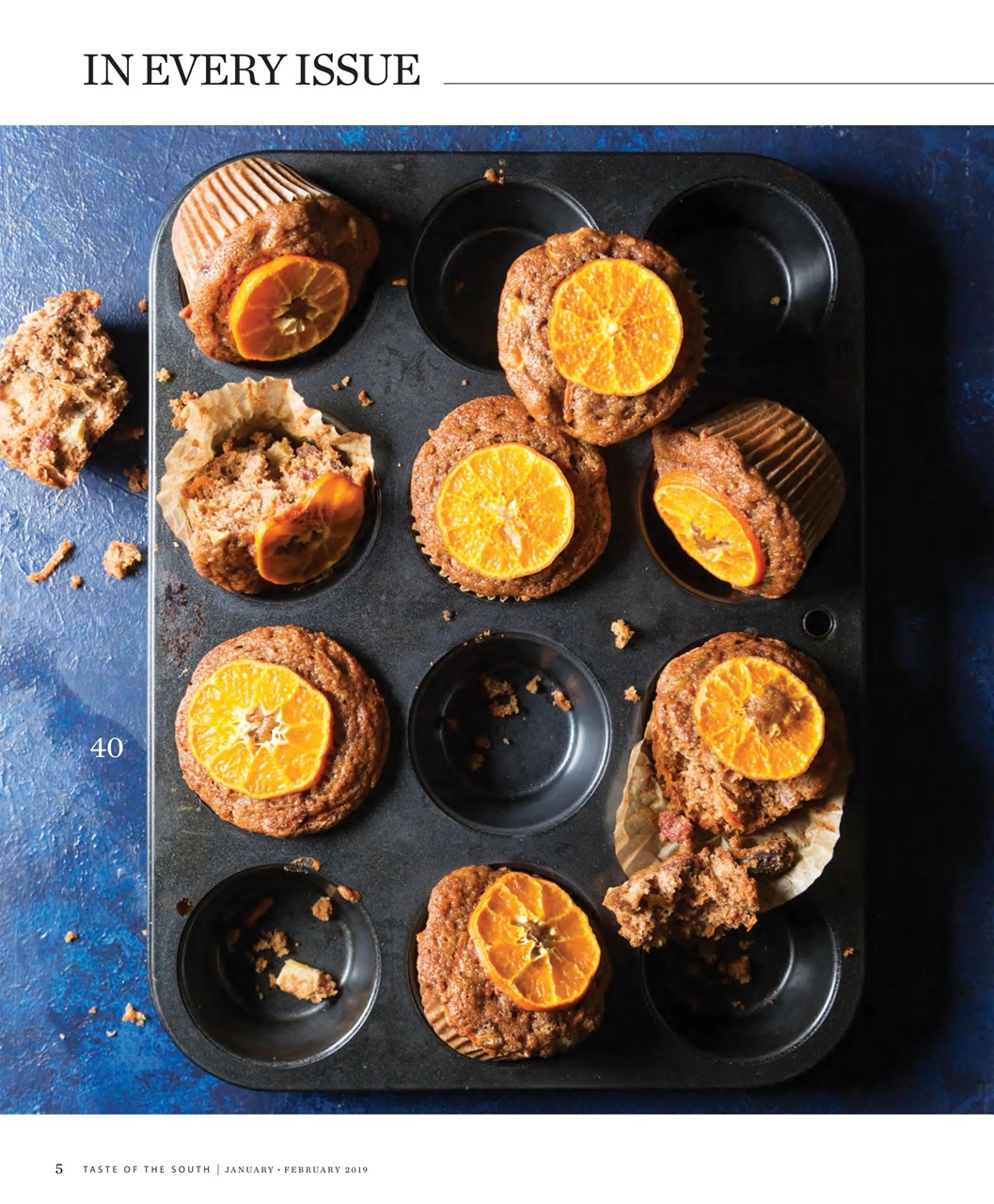 Taste of the South Preview Pages