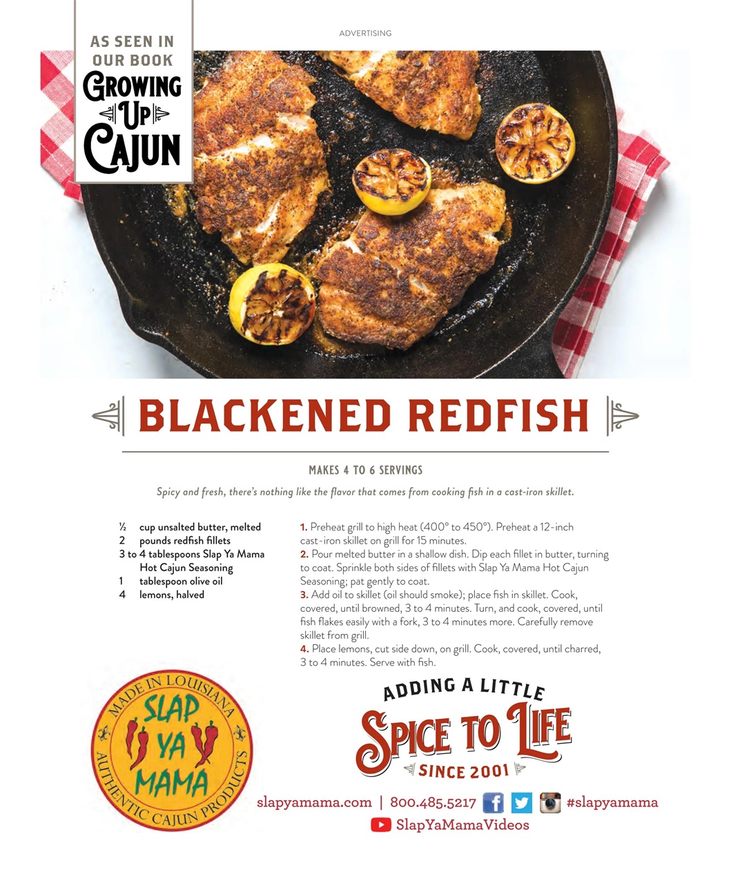 Taste of the South Preview Pages