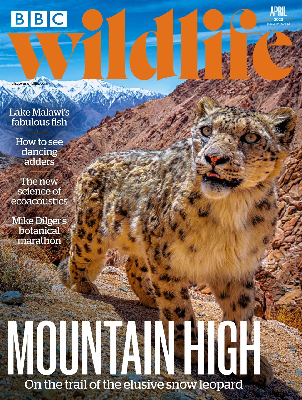 BBC Wildlife Magazine Preview Pages