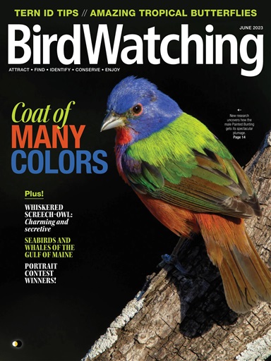 BirdWatching issue 