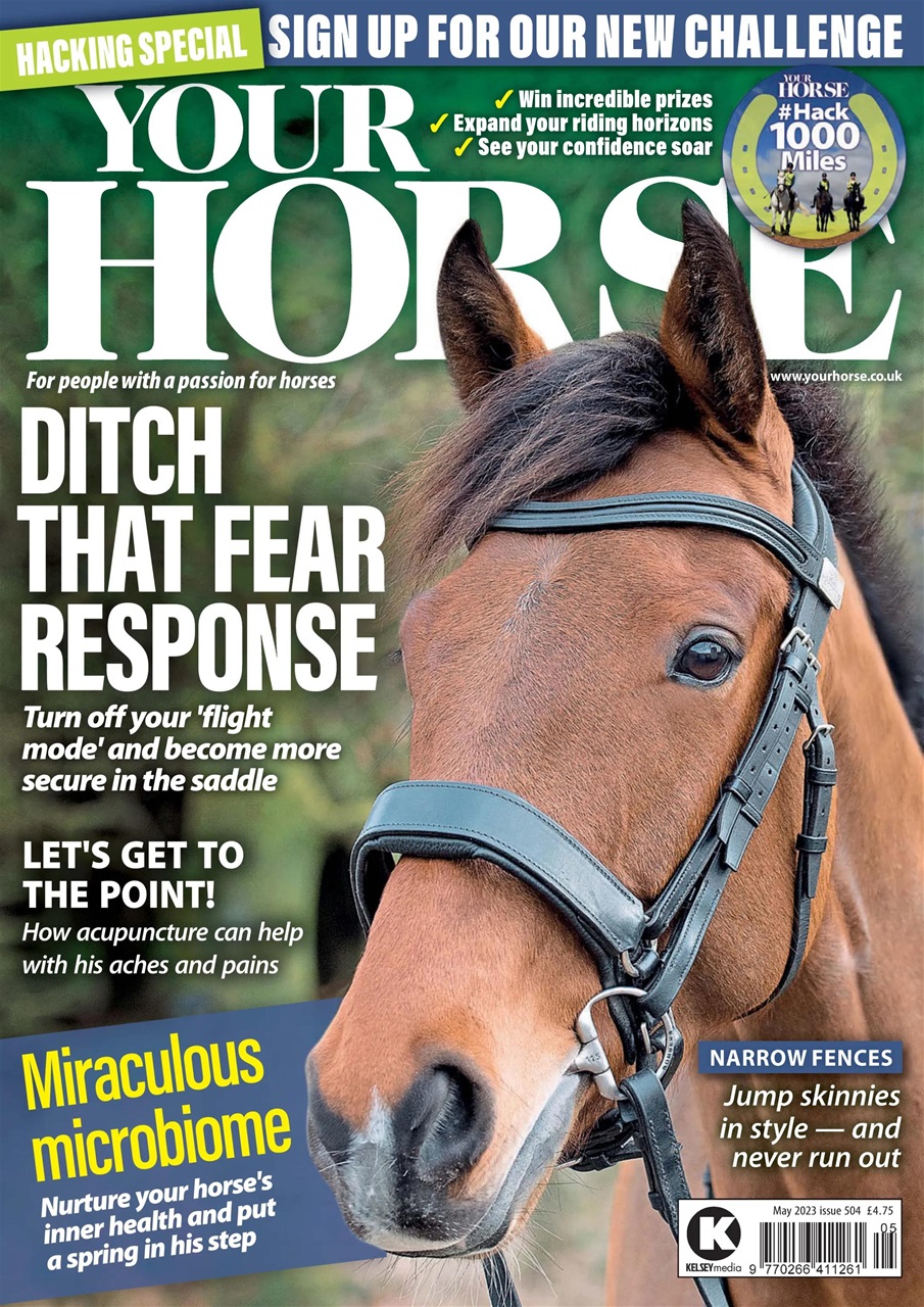 Your Horse Preview Pages