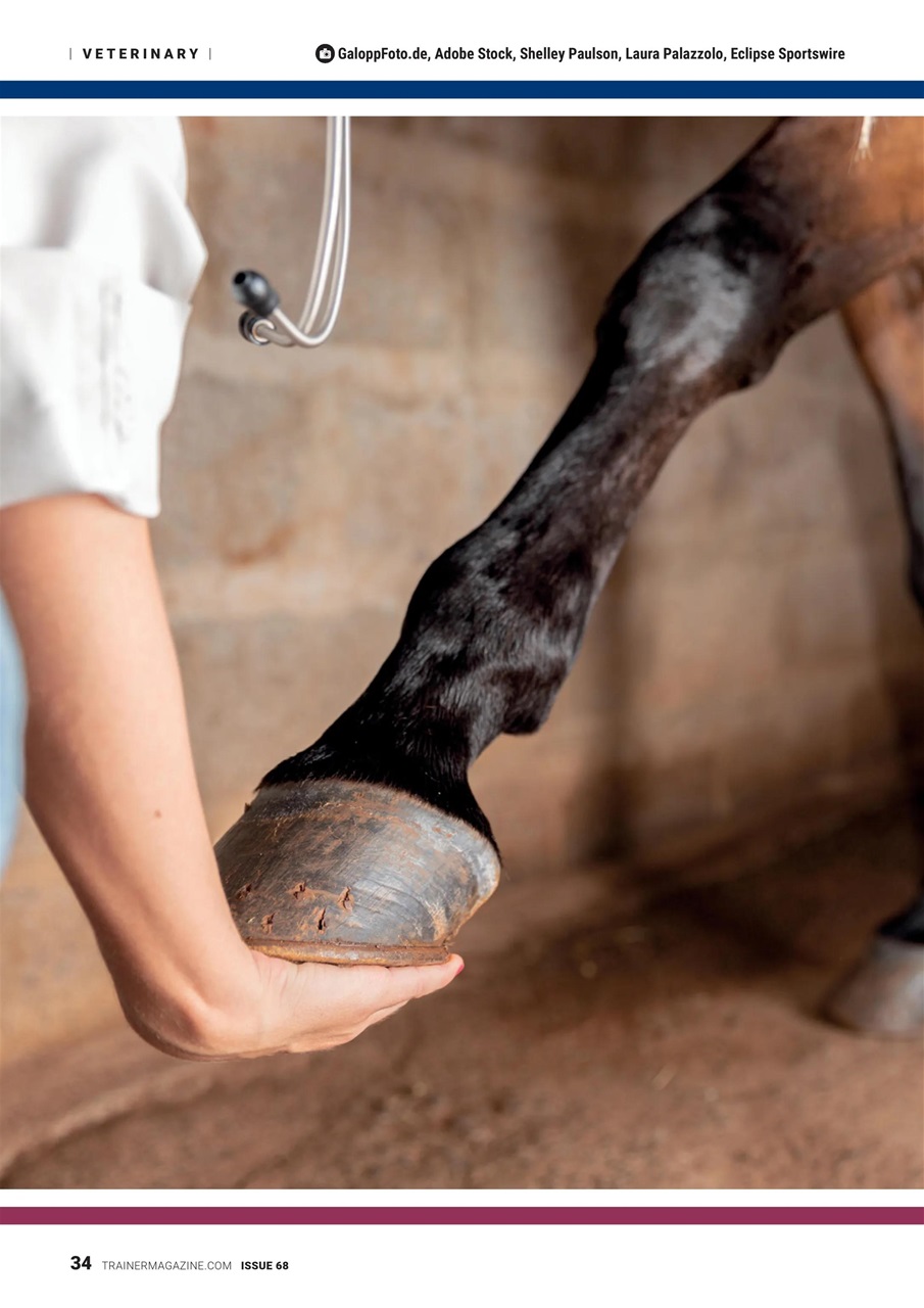 North American Trainer Magazine - horse racing Preview Pages