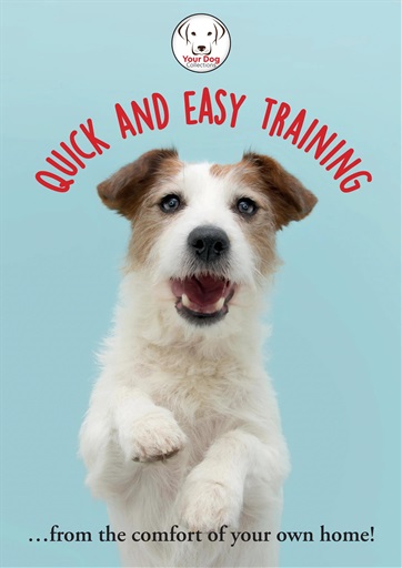 Your Dog issue 