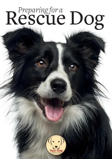 Your Dog issue 