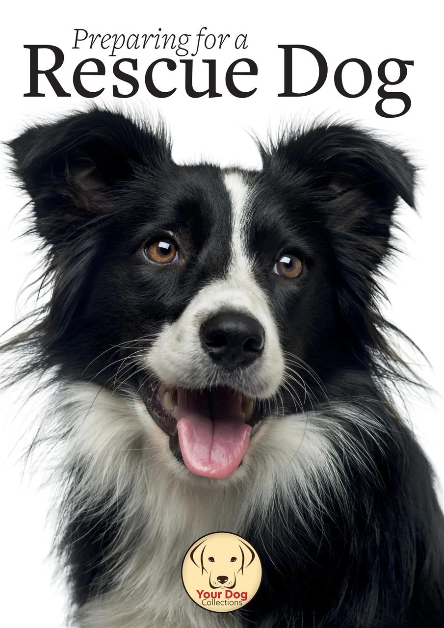 Your Dog Preview Pages