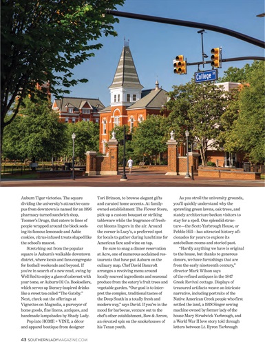 Southern Lady Preview Pages