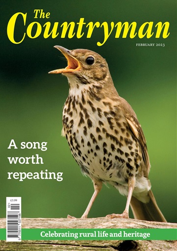 The Countryman issue 