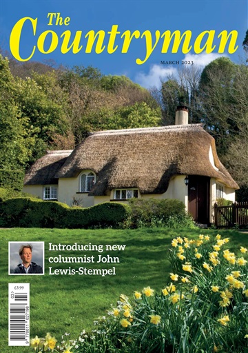 The Countryman issue 