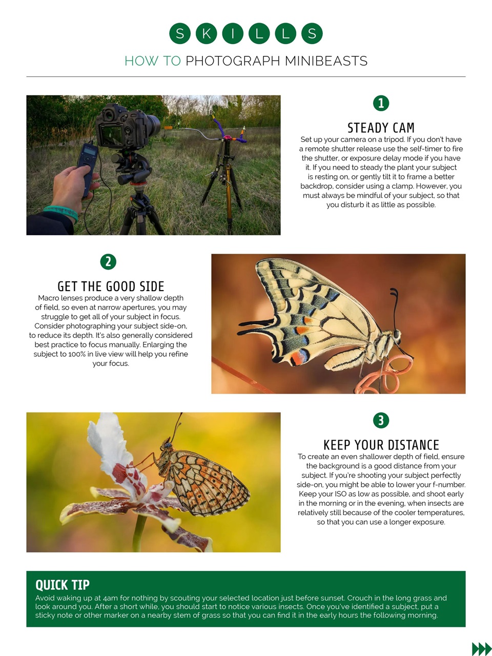 Photography Week Preview Pages