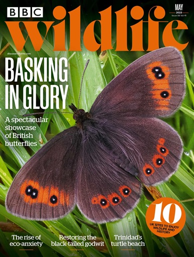 BBC Wildlife Magazine issue 