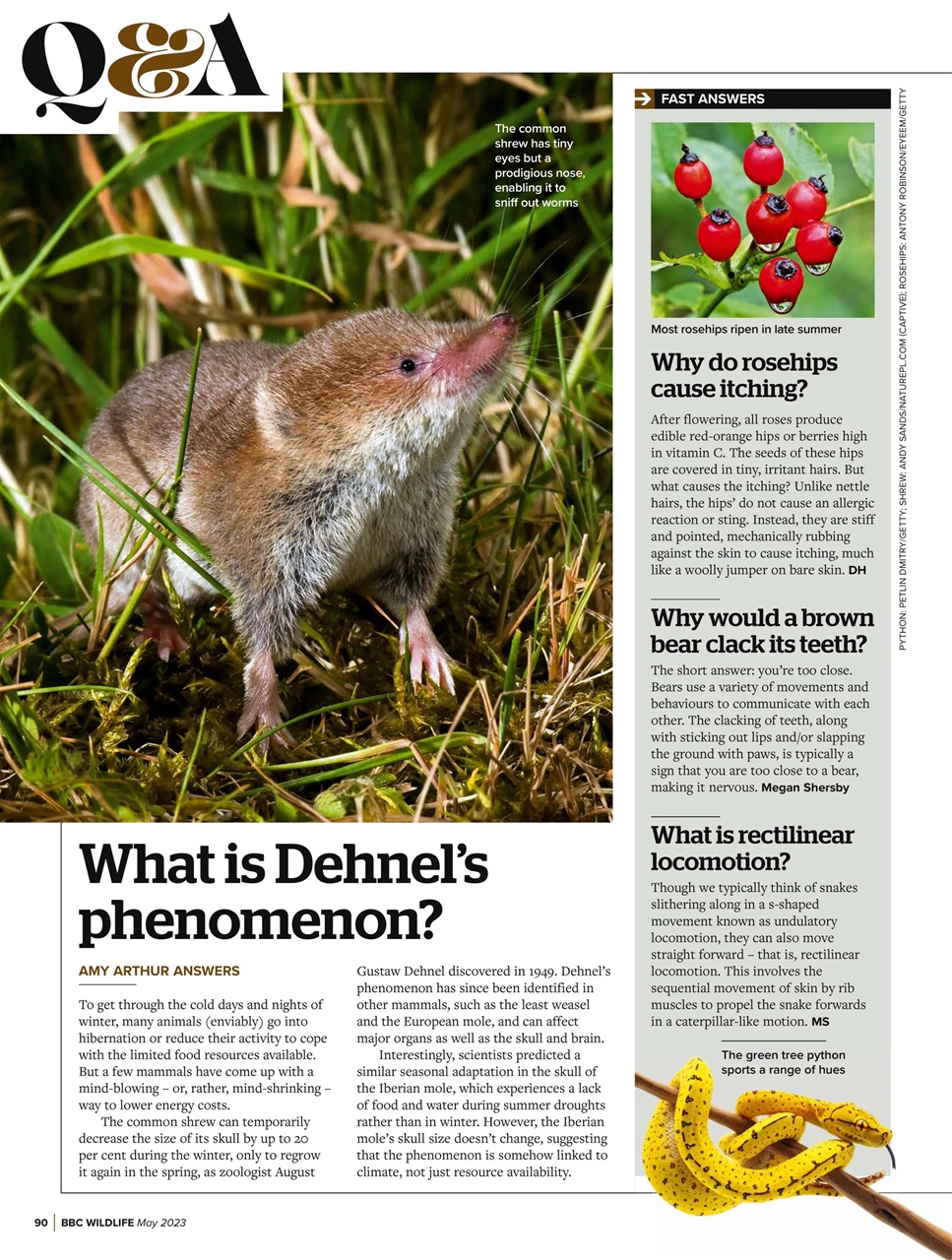 BBC Wildlife Magazine Preview Pages