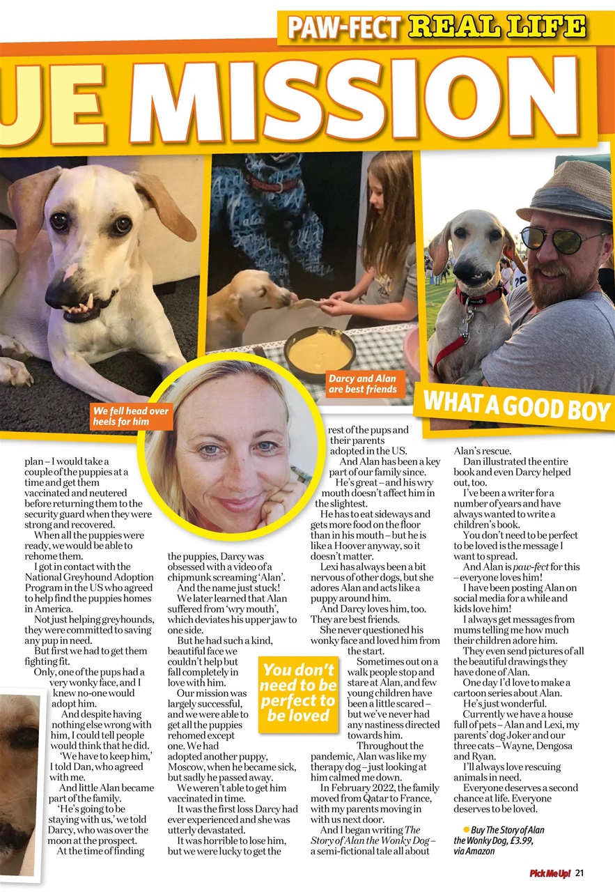Pick Me Up Preview Pages