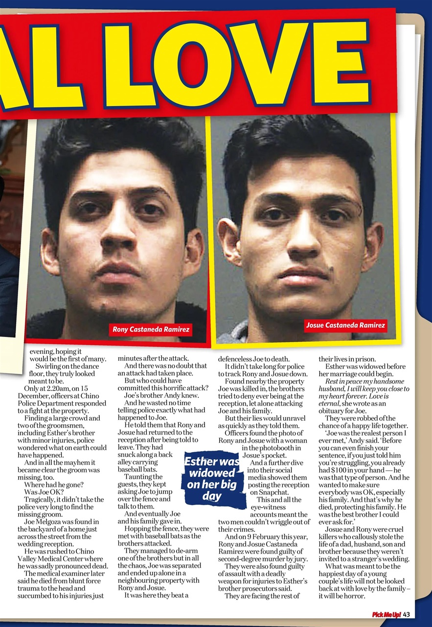 Pick Me Up Preview Pages