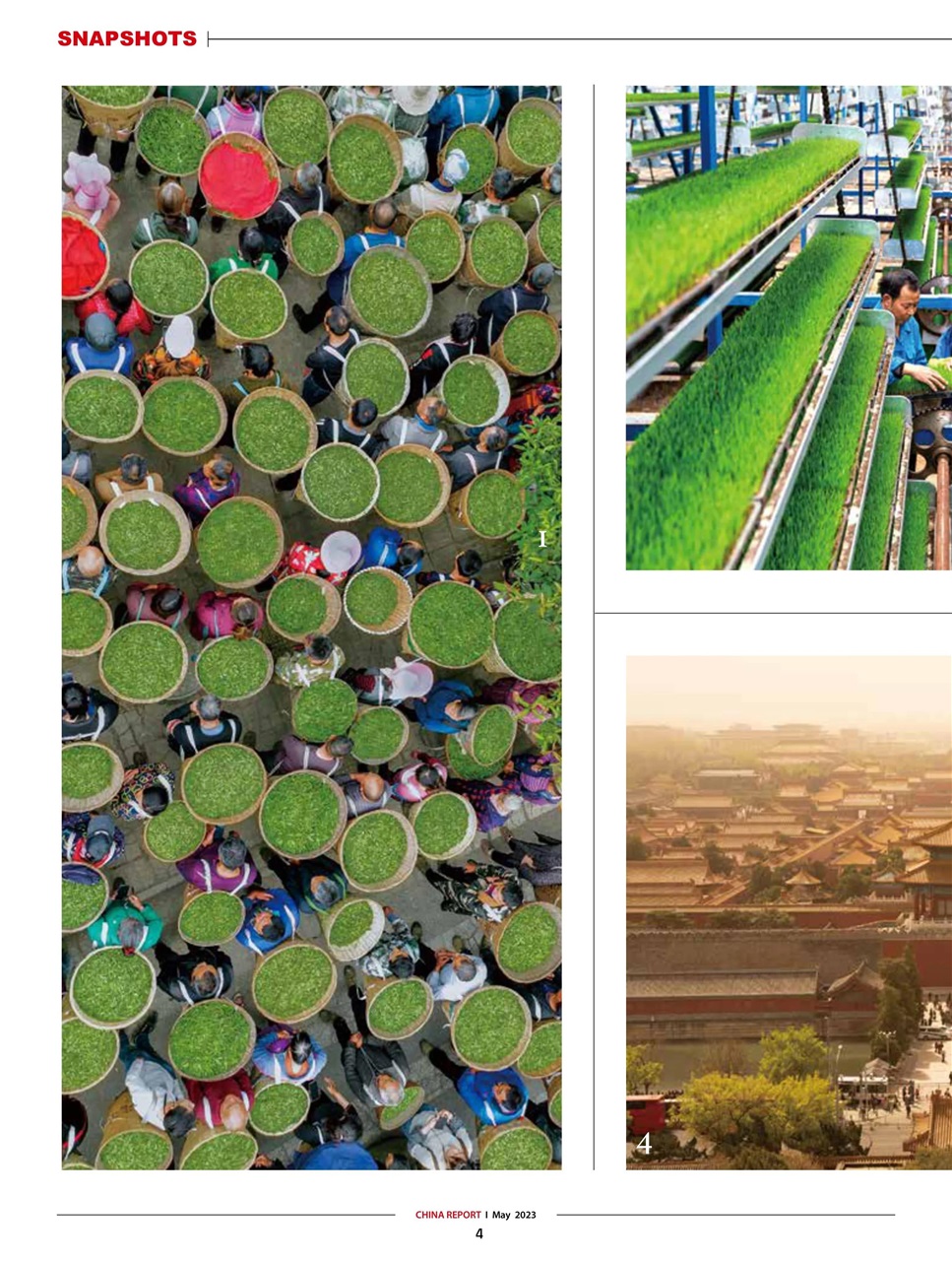 China Report Preview Pages