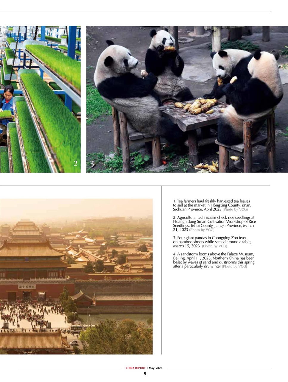 China Report Preview Pages