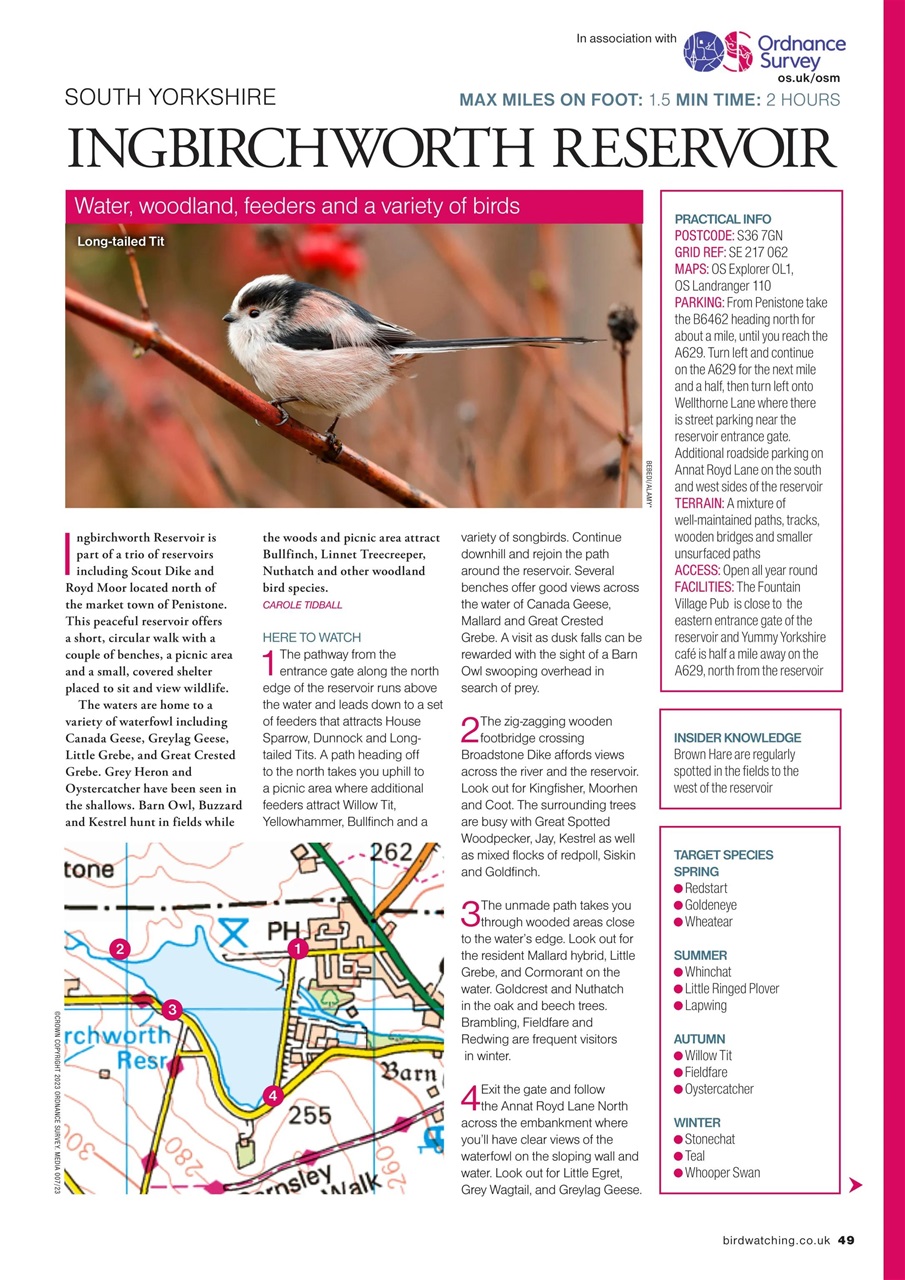 Bird Watching Preview Pages