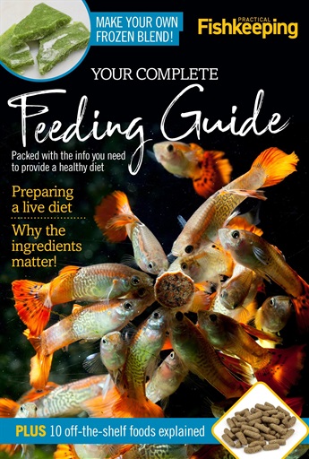 Practical Fishkeeping issue 