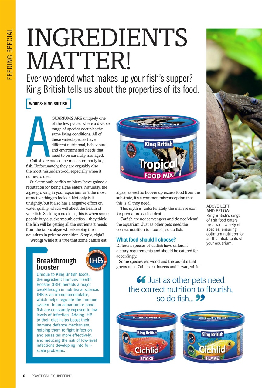 Practical Fishkeeping Preview Pages