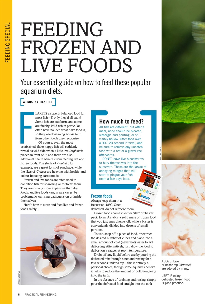 Practical Fishkeeping Preview Pages