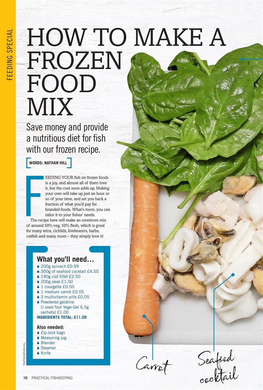 Practical Fishkeeping Preview Pages