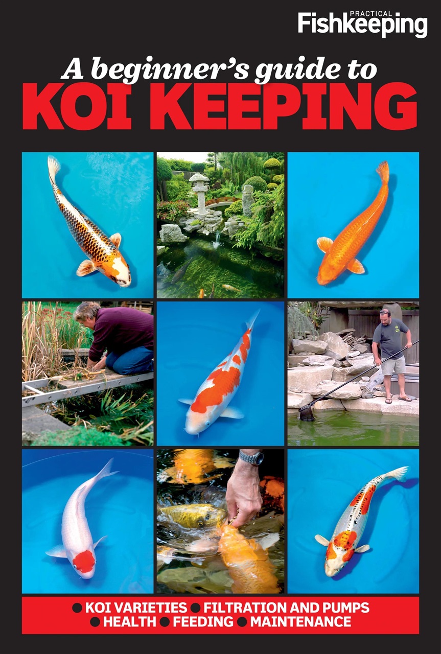 Practical Fishkeeping Preview Pages