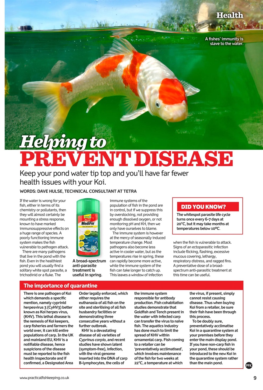Practical Fishkeeping Preview Pages