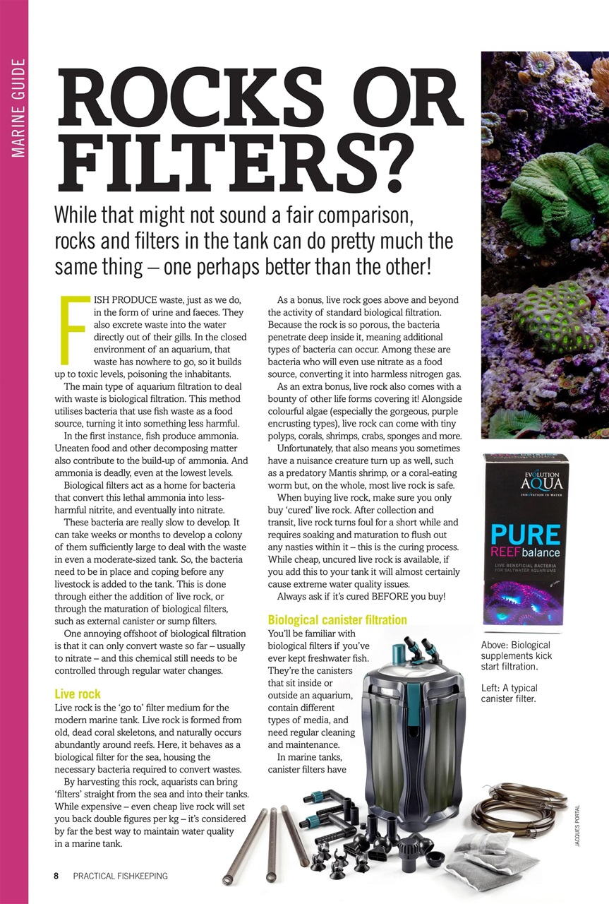 Practical Fishkeeping Preview Pages