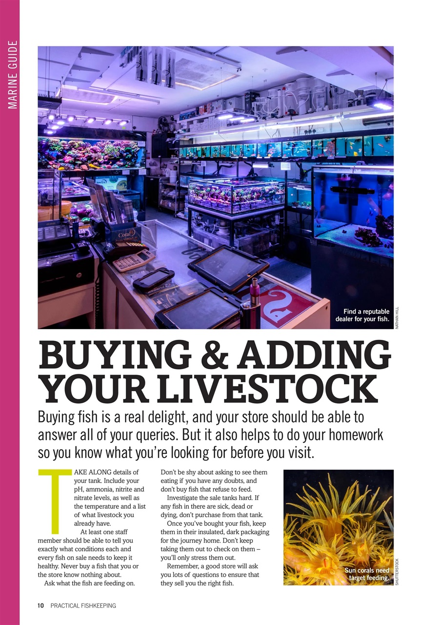 Practical Fishkeeping Preview Pages