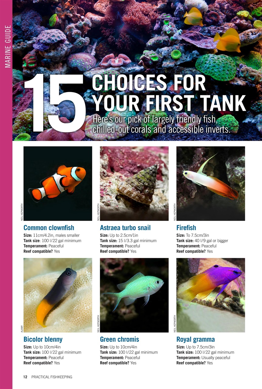 Practical Fishkeeping Preview Pages